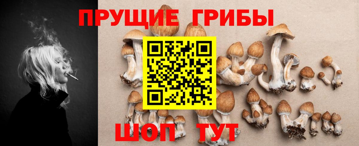 Галлюциногенные грибы Cubensis  Вход с VPN  Балахна 